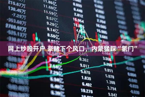 网上炒股开户 豪赌下个风口，内蒙猛踩“氢门”